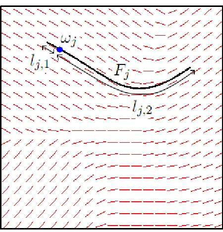 Figure 3.3: The construction of ﬁbre Fj with reference point ωj and pair of lengthslj,1, lj,2.The ﬁeld of orientations is indicated by the orientations of short linesevaluated over a grid of points.