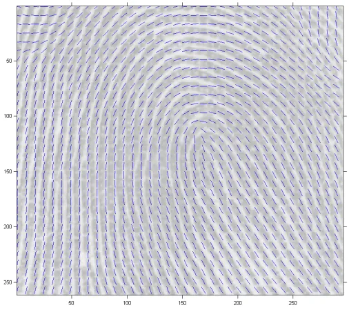 Figure 4.12: The original principal eigenvector ﬁeld of the tensor ﬁeld empiricallyestimated from the extracted pore data from ﬁngerprint a005-05 from the NISTdatabase (Watson, 2001) calculated with h = 30