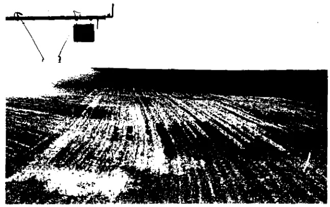 Figure 23.1. Water ponding and redistributing at the outer end of a center pivot sprinkler systemwhere application rate exceeds infiltration rate.