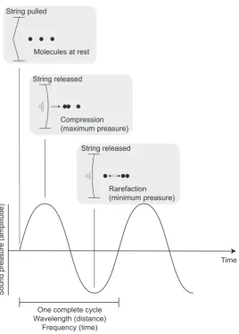 Figure 2.7: Sinusoidal representation of a wave: After the string is released,molecules bump into each other, creating a compression
