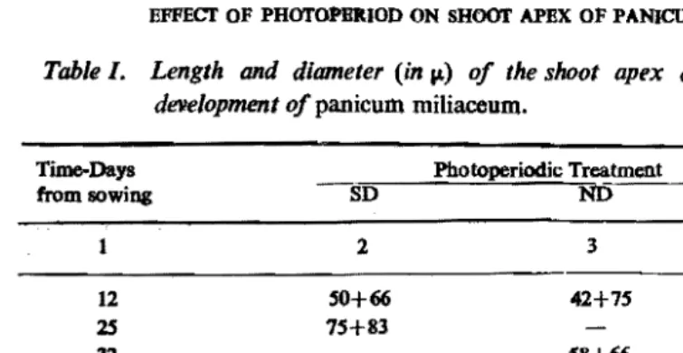 Table 1.   Length and diameter (in p.) of the shoot apex during different stages of panicum miliaceum