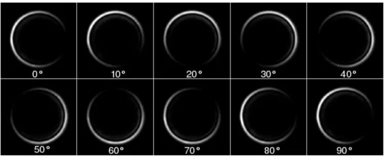 Fig. 3. Intensity profiles at the FIP (11.54 cm beyond L1) as the fast-axis of the half wave- plate is rotated through 90°