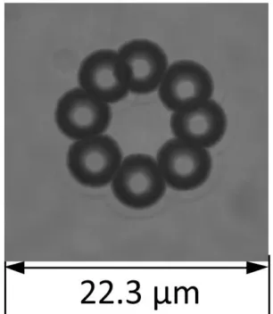 Fig. 4. Selection of overlayed frames from the continuous circular motion of 5.3μm polystyrene particles around a 35μm circumference conical trap rotating at 0.8Hz