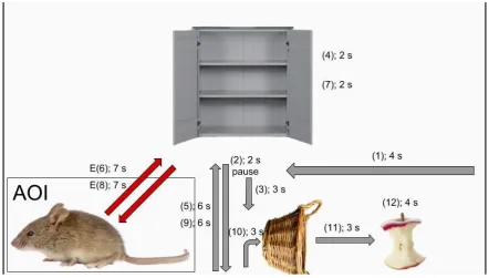 Figure 2. Order and duration of movement in the O2 task, with the order of 