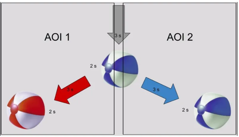 Figure 3. Control condition of the C1 task, with the stimuli (beach ball) being 