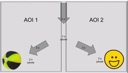 Figure 4. Control condition of the C2 task, with the stimuli (beach ball or smiley) 