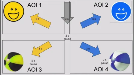 Figure 5. Control condition of the C3 task, with the stimuli (beach ball or smiley) 