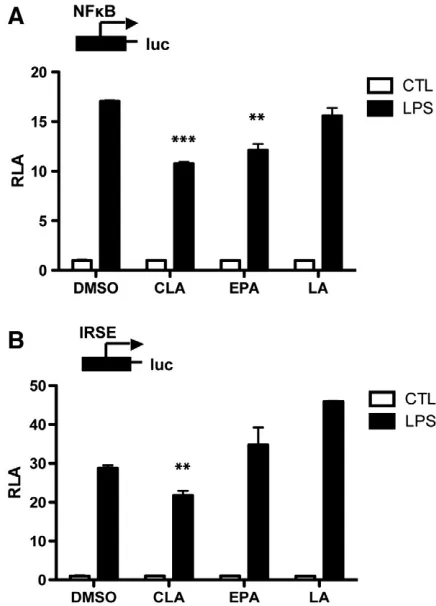 Fig. 4. c9,t11-CLA decreases expression of CD14 in lipid rafts in J774 macrophagefollowing stimulation with LPS