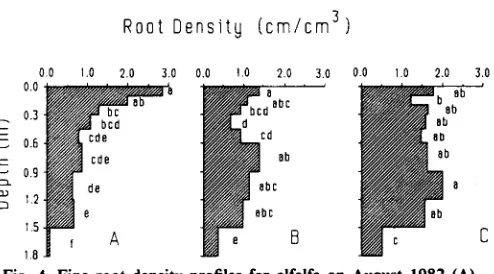 Fig. 4. Fine root density profiles for alfalfa on August 1982 (A),June 1984 (B), August 1985 (C) for None (NN) treatment whichoscillated in the same manner as the other management systems.Values within a profile with the same letter are not significantlydifferent at the 0.10 level of probability as determined by Duncan'sMultiple Range Test on log transformed data.