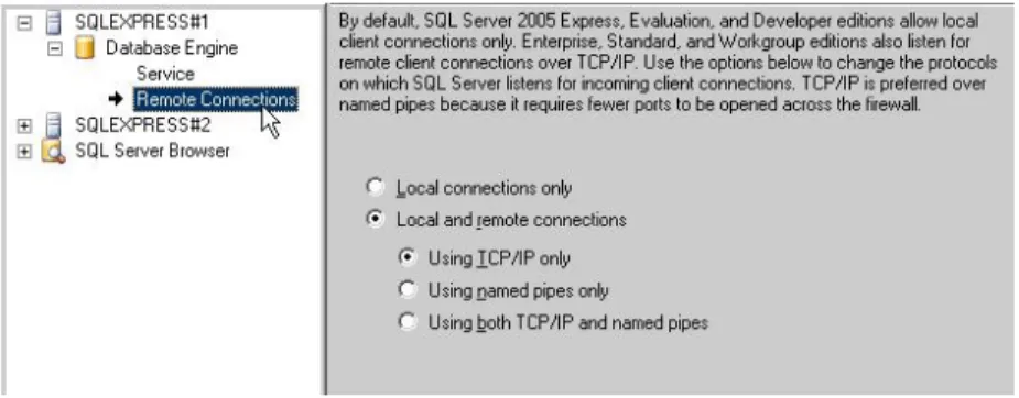 Figure 11: Remote permissions 