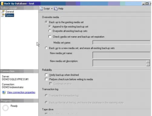 Figure 14: Options tab on the Back Up Database dialog box 