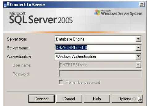 Figure 1: Connection Properties tab 