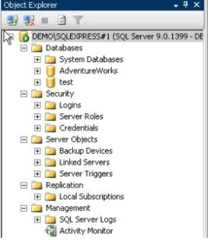 Figure 2: Registered Servers window  You can use the Registered Servers window to: 