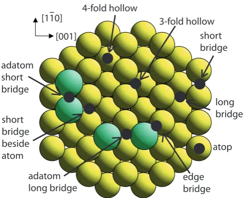 Figure 3.3: Summary of all the possible adsorption sites on a Cu(110) surface in-cluding Cu adatoms.