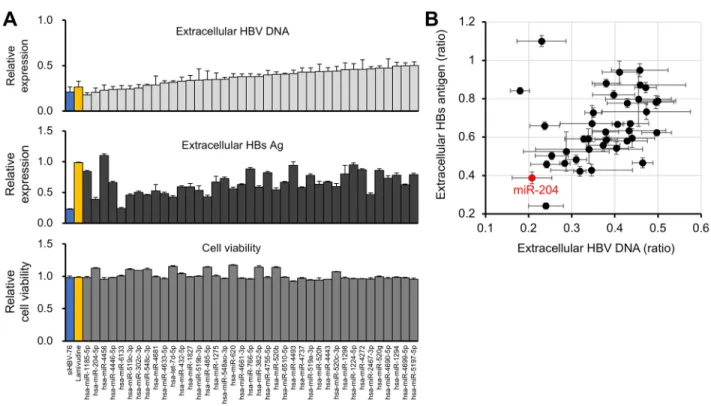 Figure 4: Identification of miR-204 as a candidate miRNA for HBV suppression.  (A) The effect of 39 miRNAs, siHBV-76  and Lamivudine on the extracellular HBV DNA level (top) and cell viability (bottom) in the second validation screening