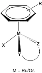 Figure 1.10. [(η6-arene)Ru(en)Cl]+ anticancer complexes (arene shown in right).  