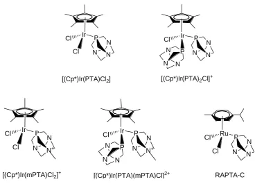Figure 1.15. IrIII and RuII monodentate PTA and mPTA complexes.  