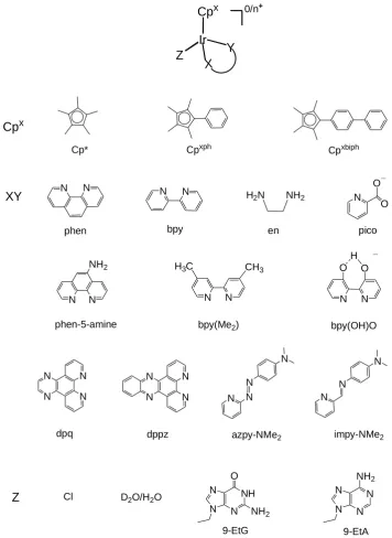 Figure 3.1. Iridium cyclopentadienyl complexes studied in this Chapter. 