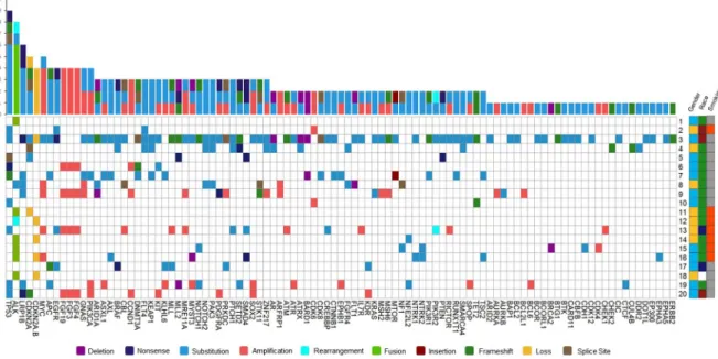 Figure 1: Mutational profile of 20 patients represented by a heatmap (left).  The most frequent genomic alterations identified  in this cohort are displayed on the left side of the heatmap