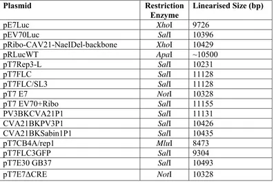 Table 2.2 Restriction sites used to linearise plasmids for RNA transcriptions  