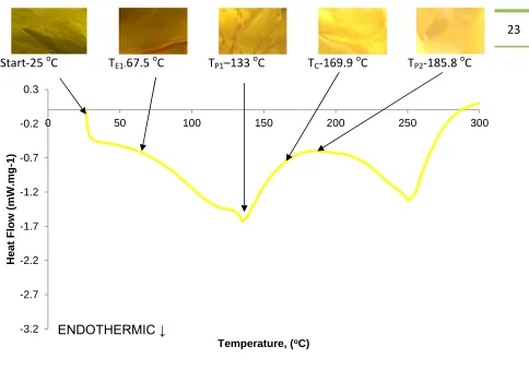 Figure 12 “Y” DSC plot showing the visual effects of the thermal loading