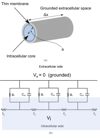 Figure 2.2: The core conductor model for a dendrite. a) A small section of a neuronaldendrite is modeled as a cylindrical cable with a thin membrane separating theintra and extracellular media