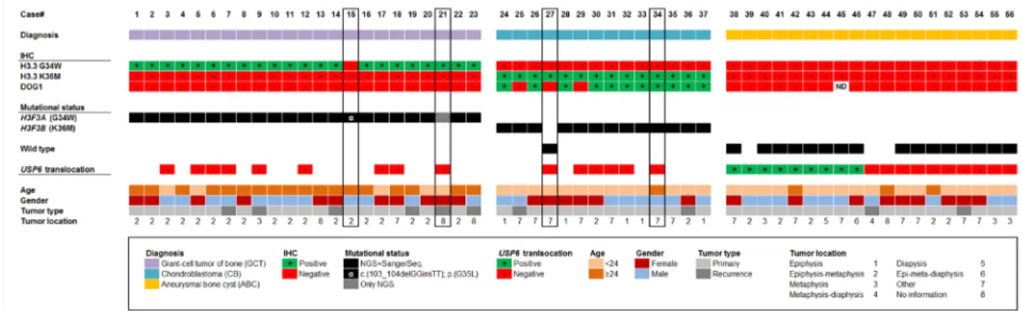 Figure 1: Clustered overview of clinical and pathological patient data, the results of the immunostainings (H3.3  G34W, H3.3 K36M, DOG1), the mutational H3F3A/B status as detected by DNA sequencing and the result of the  USP6 break-apart FISH