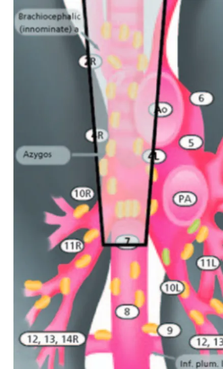 FIGURE 2. Shaded areas indicate the nodal stations within the reach of mediastinoscopy.
