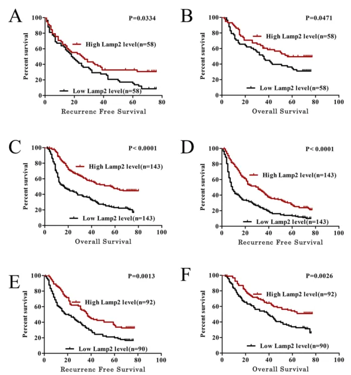 Table 2: Multivariate analysis of the risk factors for RFS and OS in 286 HCC patients Variable