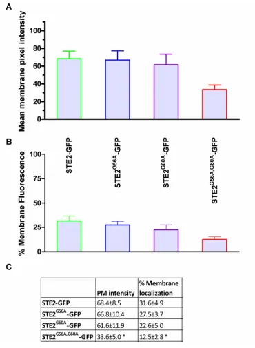 Figure 4-9: Measured fluorescence intensities at the cell membrane of STE2-GFP and the STE2-GFP constructs containing conservative mutations  