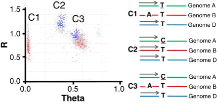Figure 1 Assay IWB2818 shows multiple clusters in unrelated hexaploidwheat accessions, which can be tracked within bi-parental mappingpopulations as biallelic markers
