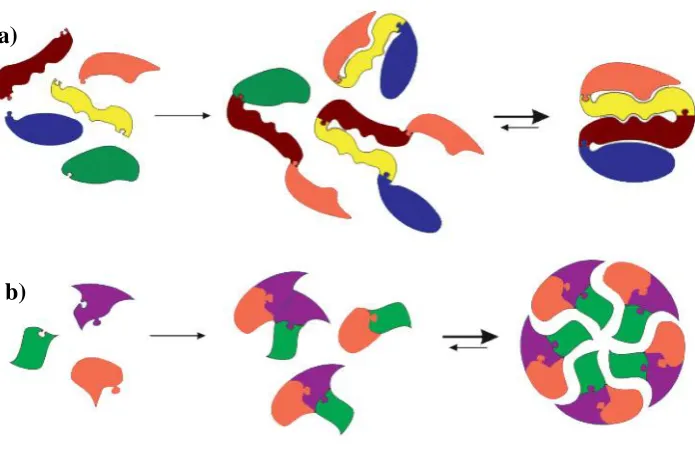 Figure 4: Diagrammatic representation of a) „foldamers‟ and b) „self-assembly‟ in dynamic 