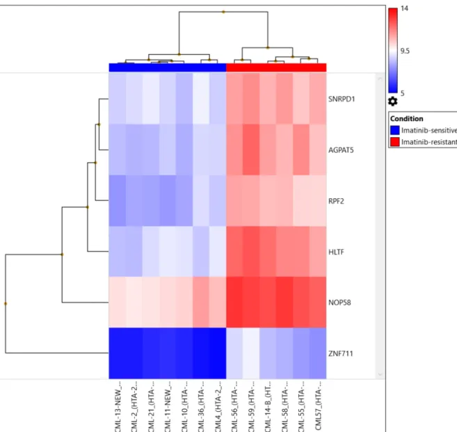 Figure 2: Hierarchical clustering of 13 CML samples (TKI-sensitive cases and TKI resistant cases) common between  transcriptomics and CNV analysis were compared to control using the same filter criteria as for all CML cases and  control at p=0.01.