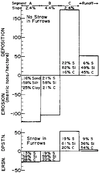 Figure 4. View showing row-segment B (3.9%slope) in the foreground. Straw reduced erosion