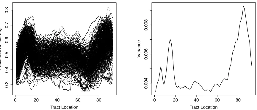 Figure 3: Left panel: fractional anisotropy proﬁle of 382 subjects. Right panel: empirical variance function of fractionalanisotropy proﬁle.