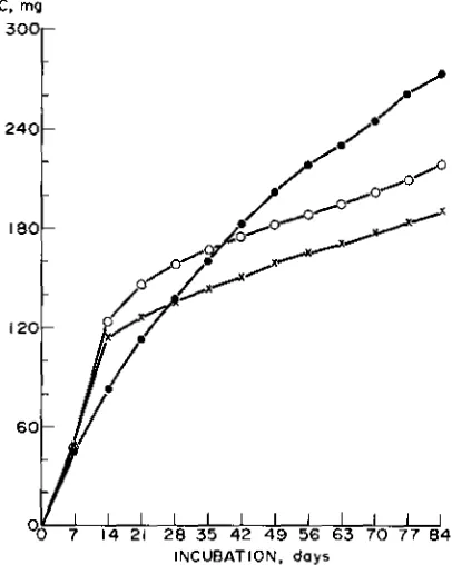 Fig. 1. Carbon dioxide evolved from wheat straw decomposing inPortneuf silt loam soil in the laboratory