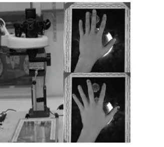Fig 1. Hand camera rig and hand samples.