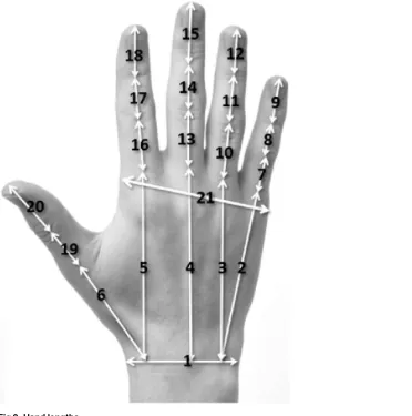 Table 3. Hand feature set.