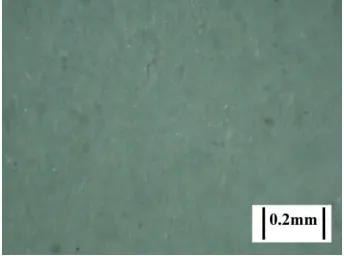 Figure 2.1 – Sheet of 80gsm paper imaged under a light microscope.