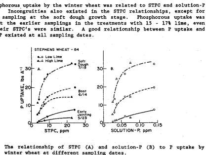 Fig. I. The relationship of STPC and solution-P to winter wheat yields.