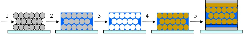 Figure 1.10 Schematic of fabrication method: 1) Self-assembly of polystyrene colloids, 2) infiltration of nanosphere domains with appropriate donor material, 3) colloid removal, 4) infiltration of inverse structure with acceptor material, 5) device fabrica