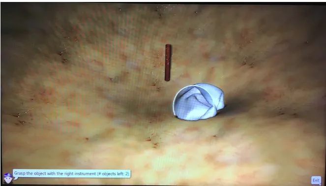 Figure 4. Example of the grasping task. A blood vessel is sticking out of the abdominal tissue 