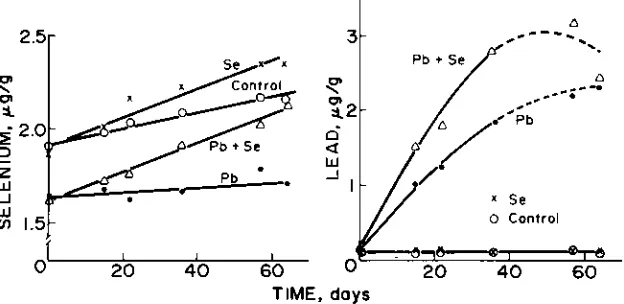 Fig. 3. Mean Se and Pb concentrations in freeze-dried whole blood ofsheep.