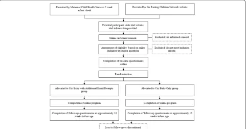 Fig. 1 CONSORT Trial Flow Diagram