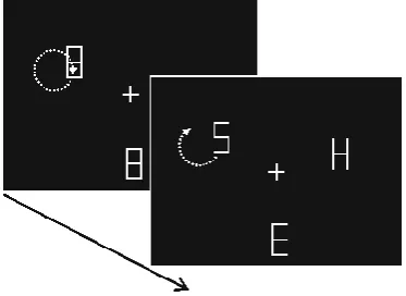 Figure 3.3. Example display from Experiment 4, with continuous motion 