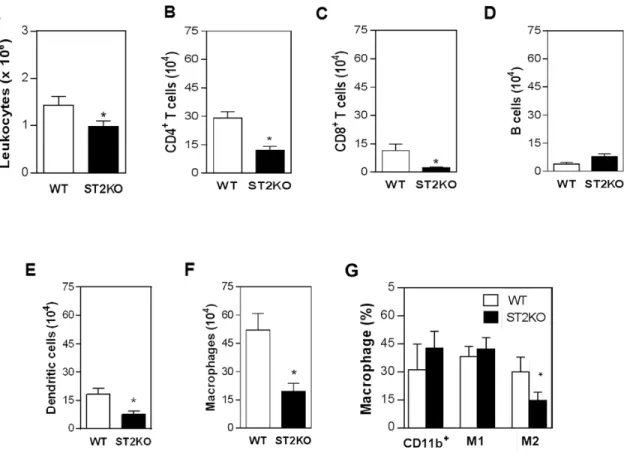 Figure 2: ST2 deficiency is associated with reduced immune cell infiltration in tumors