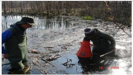 Figure 3-32. Vegetation boundary and density survey in April 2009.