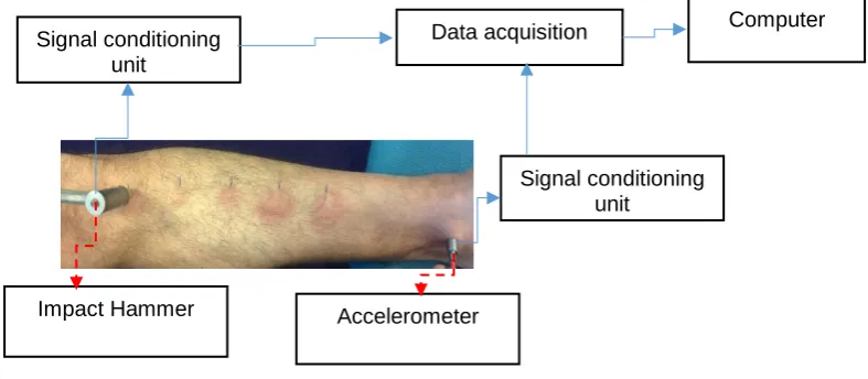 Figure 1: Measurement set-up. 