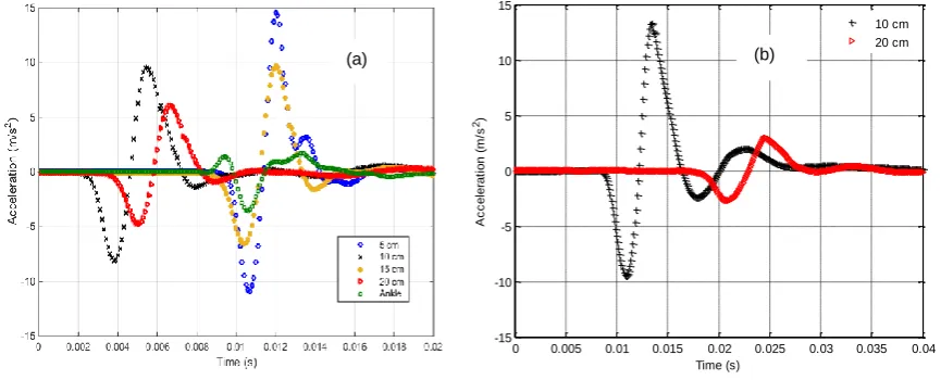 Figure 2: a-) Input force applied to five different locations on male tibia by an impact hammer