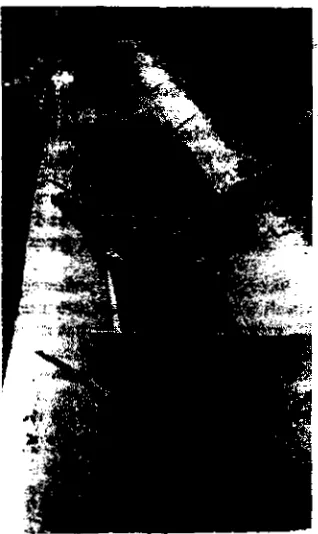 Fig. 2—Horizontal, rectangular trash screen placed in a checks tincture.